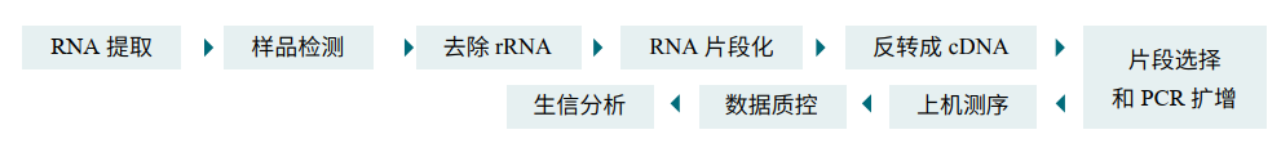 LncRNA测序