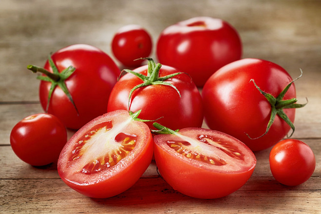 番茄遗传转化服务